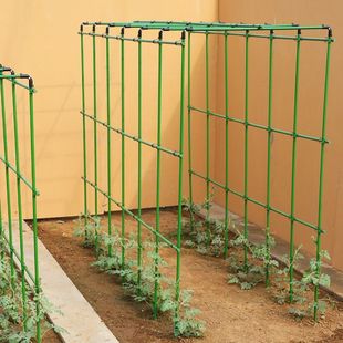 户外庭院种菜支架架子攀爬花架豆角植物瓜架