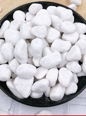 50斤白色石子石头大鹅卵石庭院铺路铺地小白石头园林枯山水白石子