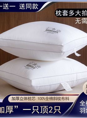 全棉抱枕芯内胆内芯靠垫芯404550正方形纯棉床头沙发靠背靠