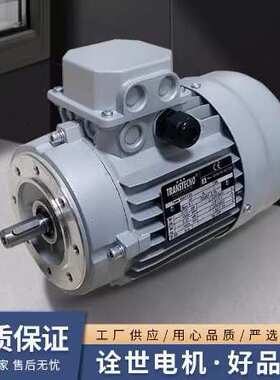 进口原装意大利TRANSTECNO诠世电机MS71B4 意大利电机 意大利马达