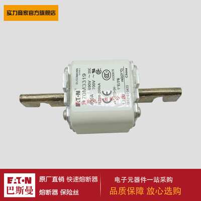 熔断器170M3318 170M3319 170M3320 170M3321 170M3358 170M3359