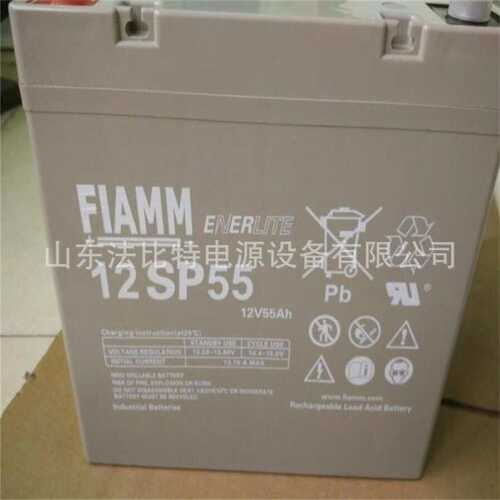 意大利非凡铅酸蓄电池12FGL27免维护12V27Ah质保1年 FIAMM