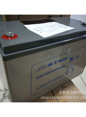理士(LEOCH) DJM12100 不间断电源电池 12V100AH EPS铅酸蓄电池