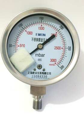 膜盒压力表\Y100 304 0-25kPa M20×1.5 径向 316L 2.5级 ye100b