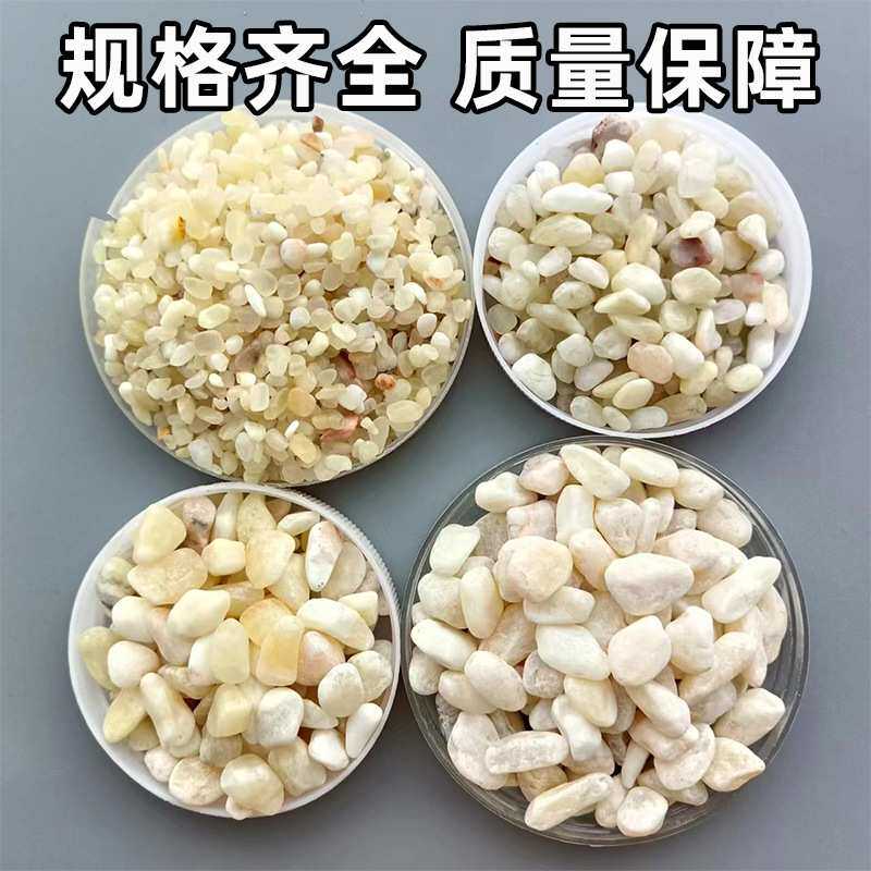 米黄玉卵石米黄碎石子铺路面用水洗胶粘石洗米磨圆黄色碎石鹅卵石