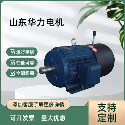山东华力电机YEJ系列电磁制动三相异步电动机全铜线圈厂家直供