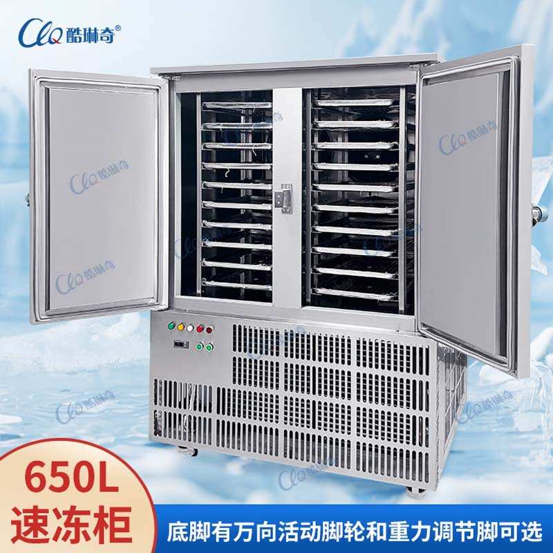 柬埔寨650L大容量速冻柜-40/80度可选低温食品冷冻柜不锈钢冷藏柜