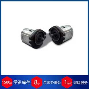 波兰WPH齿轮泵 PZ4