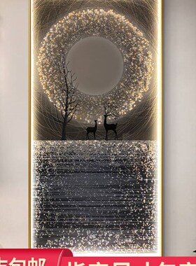 现代简约声控LED灯星空麋鹿玄关装饰画北欧轻奢镶钻走廊过道挂画