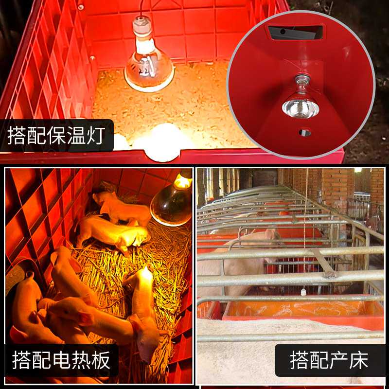 仔猪保温箱小猪取暖箱母猪产床可拆卸保暖箱新型加厚电热板取暖箱