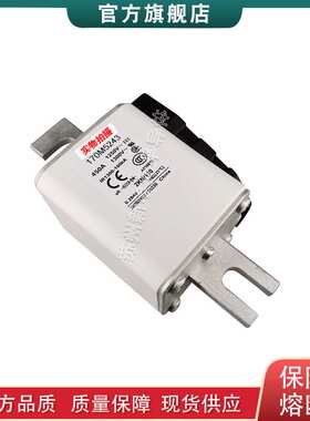 170M5237 5257 5280 5281 5282 5283 5284 5289 巴斯曼快速熔断器