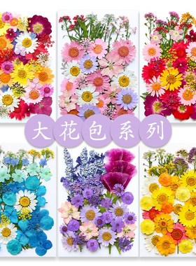 干花压花材料包押花diy押花书签滴胶干花手机壳压花押花植物标本