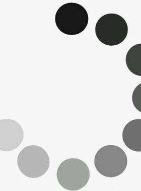 ZZDD 单独下单链接 补差价