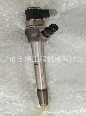0445110799共轨喷油器04331725470445110861喷油嘴总成