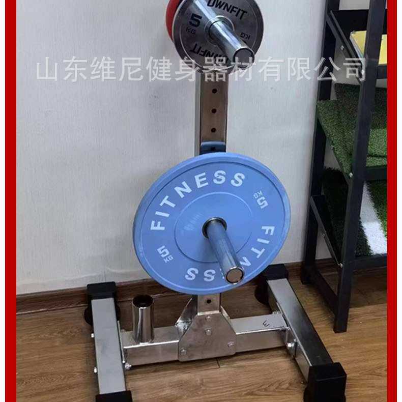 电镀杠铃片架家用训练存放架商用健身房可移动家用杠铃杆收纳架