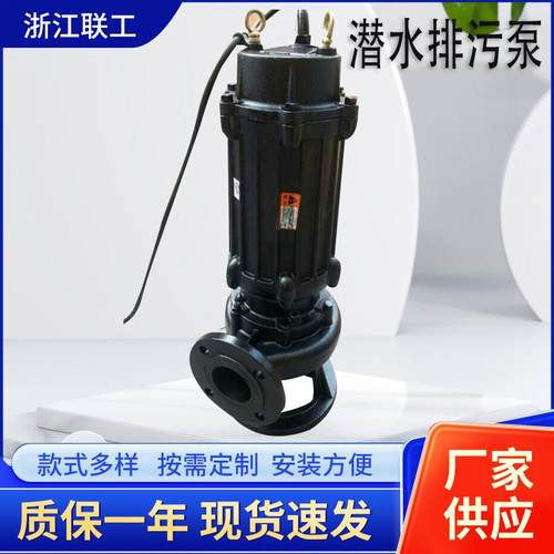 温州WQ潜水泵QW潜水排污泵潜污泵厂家不锈钢潜水排污泵直销