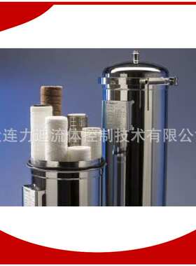 供应德国putsch过滤器