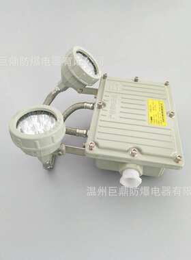 防爆双头应急灯BAJ52疏散指示灯照明应急一体壁装式安全出口防尘