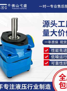 注塑机叶片油泵V20-1B6B 1B7B 1P8P 1P9P 1P13P 1S8S液压泵总成