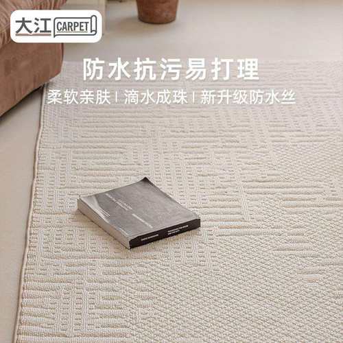 防水防污地毯客厅奶油浮雕轻奢高级卧室沙发床边简约家用隔音耐脏