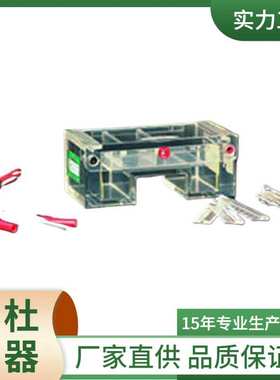 供应DYCP-31C琼脂糖水平电泳仪 电泳槽 核酸电泳仪(小号)