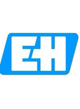 音叉物位开关/液位开关FTL50-AGR2AA4G4A德国E+H恩德斯豪斯