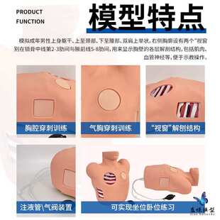 胸腔闭式引流模型 胸腔穿刺训练模型 胸腔创伤后气胸引流处理模型