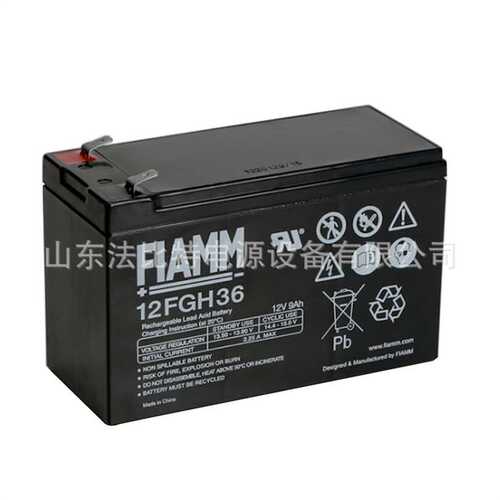 非凡FGC21803免维护蓄电池12V18Ah应急通讯 FIAMM 意大利