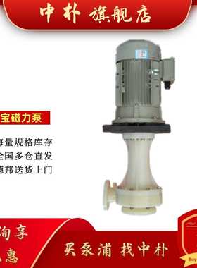 国宝无轴封磁力泵MPH-F-440 441 452 453 455系列耐酸碱腐蚀泵