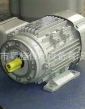 德国电机 AC-MOTOREN GMBH ACR 112M-4/4.8KW