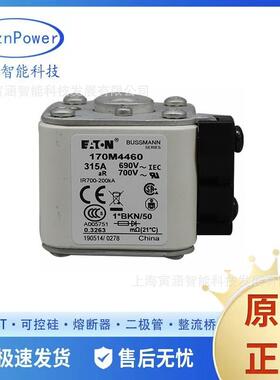 170M4460170M4466170M4699直流快速熔断器/高压熔断器保险丝