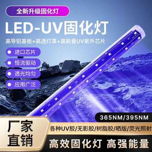 LED诱虫灯管E27诱虫灯管3.2V诱虫紫光灯太阳能杀虫灯配件诱蚊