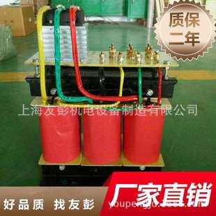 双绕组整流三相励磁变压器380变100V直流变压器25KW30 100KVA