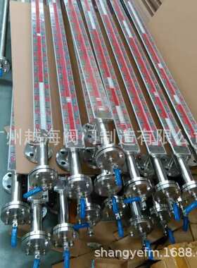 PPVC防腐磁翻板液位计 耐强酸碱性水位计 顶装侧装式经济型液位计