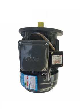 TECO东元电机2.2KW 3.7KW 5.5KW 7.5KW立式AEVF TVGH