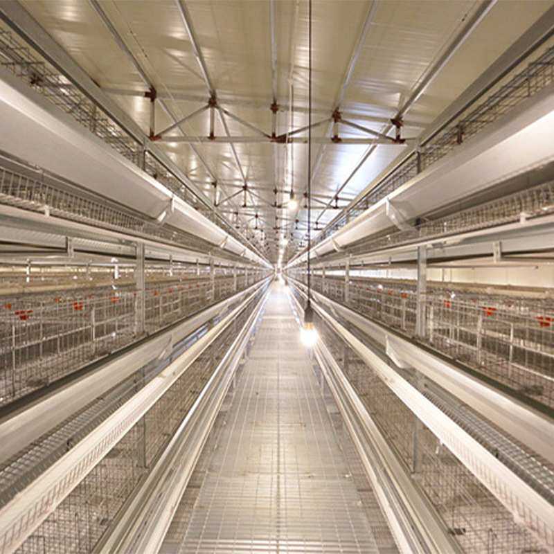 厂家生产养鸡设备 养鸡料线 自动喂料线 全自动上料设备