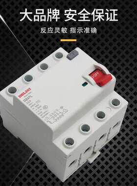 电磁漏电保护器DZ47L1E家用2P32A漏保40A63A空气开关防漏电