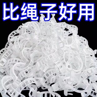 【下单立减50】绿植果树枝干固定夹卡扣藤蔓固定器秧苗爬藤支撑杆