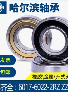 YHRB哈尔滨轴承6017 6018 6019 6020 6021 6022 6024RZ 2Z ZZ 2RZ