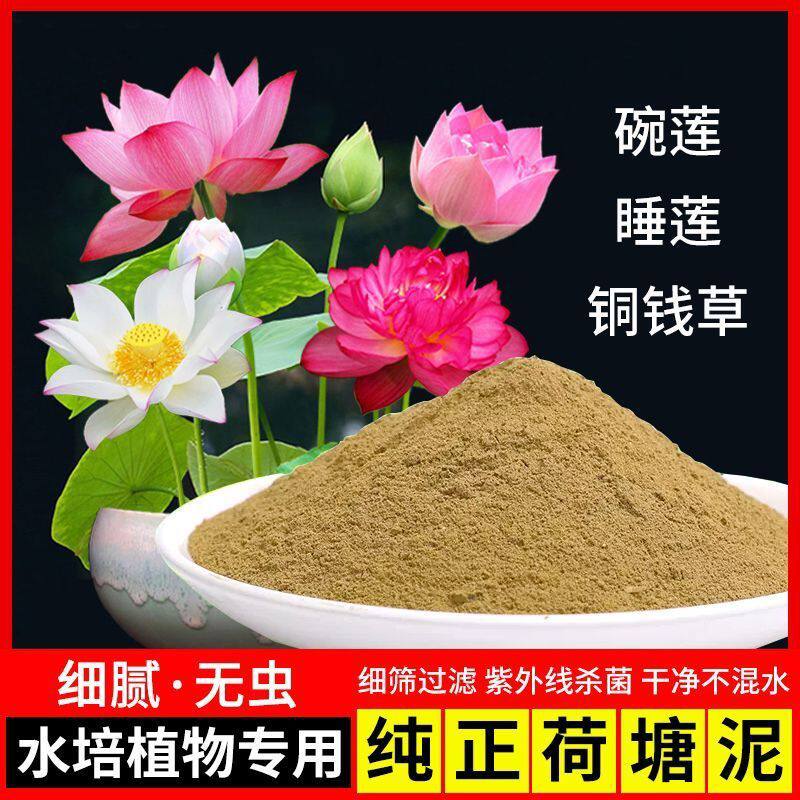 碗莲专用泥荷花铜钱草水培泥炭土
