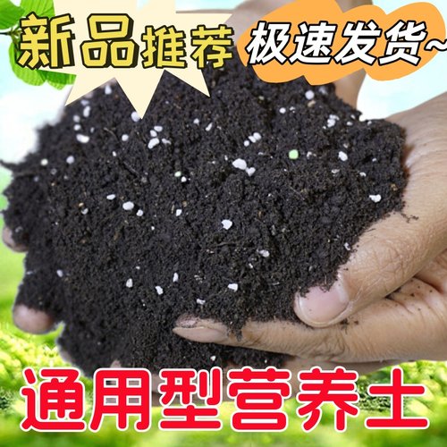 松针腐殖土通用型种菜养花菜通用