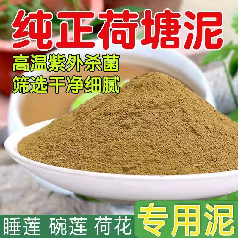 碗莲专用泥荷花铜钱草水培泥炭土