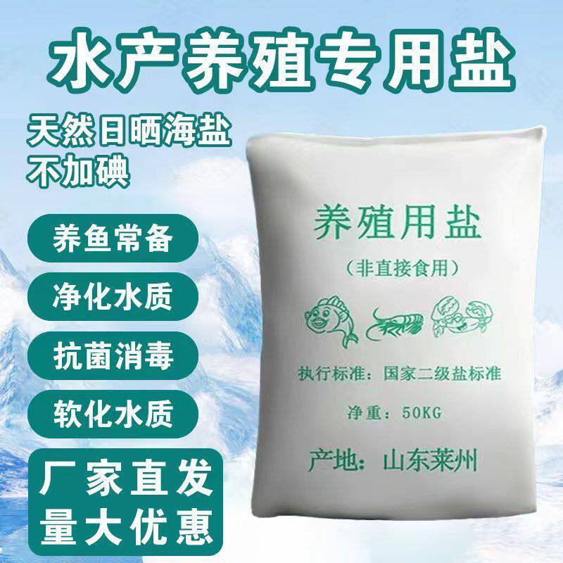 锦鲤鱼池专用海盐消毒杀菌工业盐