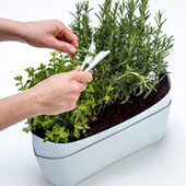 进口剪 便捷修la枝工具小原装 家用ast 园艺P繁茂捷 i克条小剪子