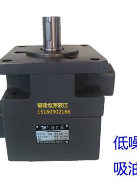 /10L/6/.居Y叶片泵/仙1010C/永灵/2.5/3/8//20525Y.32-16B0/64312