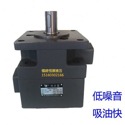 /10L/6/.居Y叶片泵/仙1010C/永灵/2.5/3/8//20525Y.32-16B0/64312