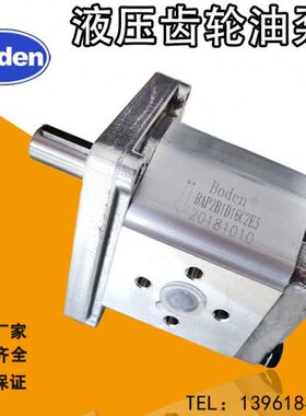 B25Dde/228n/AP3C20DBoC/1齿轮泵E3//1610/2/DD14E2DB12D0D/18D3D