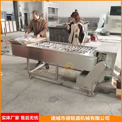 滑轮移动的切割冻鱼段机器 刀鱼挂冰包衣流水线 带鱼切段机