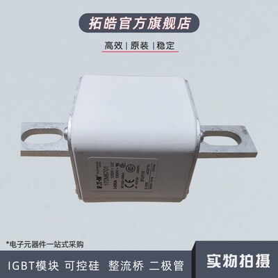 现货快速保险丝熔断器170M6766/6767/6768/6769/6770/6771/6775