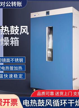 智能控温电热鼓风干燥箱实验室RT10-300°C恒温食品中药材烘烤箱